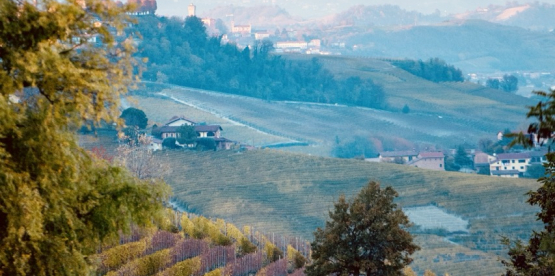 Spesialslipp av vin fra Italia